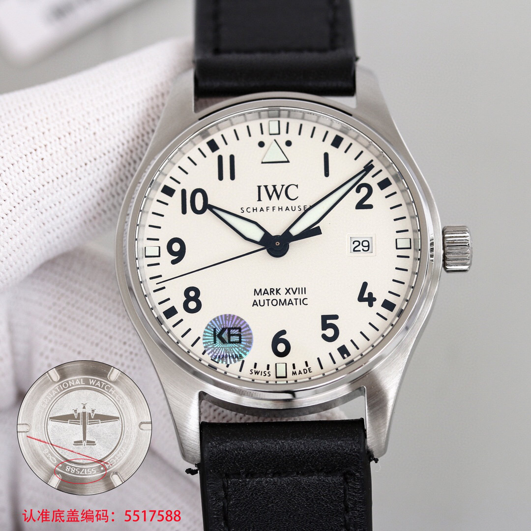 IWC 아이더블유씨 5컬러 남자 시계