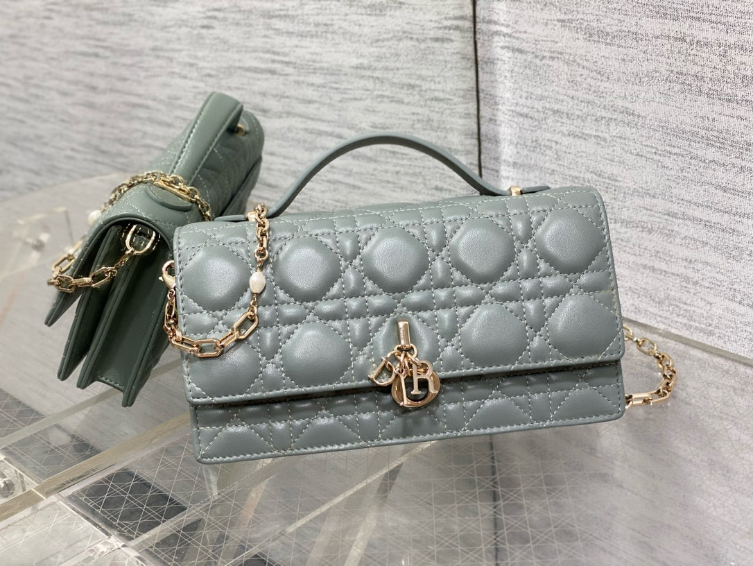 디올 여자가방