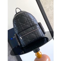 디올 백팩