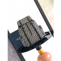 디올 백팩