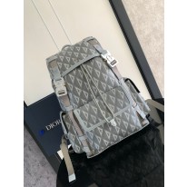 디올 백팩