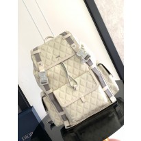 디올 백팩